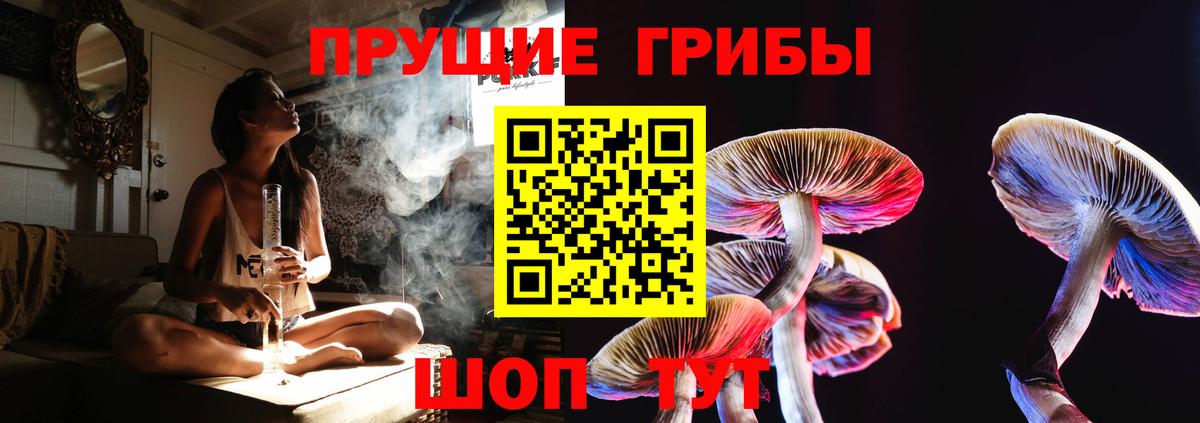 Галлюциногенные грибы GOLDEN TEACHER Лысьва