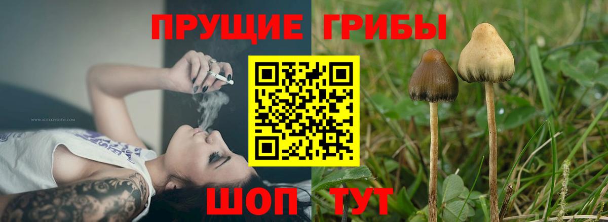 Лысьва  Галлюциногенные грибы прущие грибы  Вход с VPN 